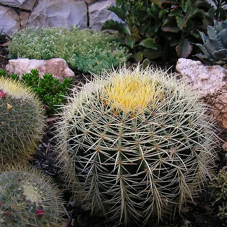 Katica 公寓 特罗吉尔