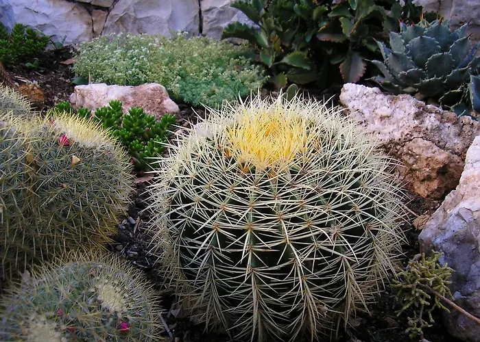 Katica Апартаменти Трогір